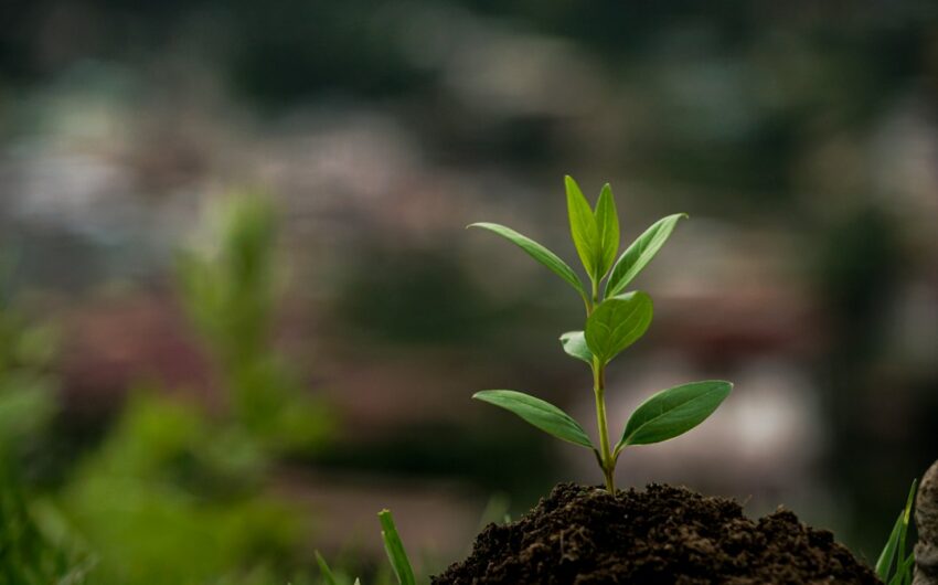 Navigating the Future of Marketing with The Tech Corner
